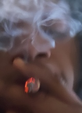 Guest_damariking