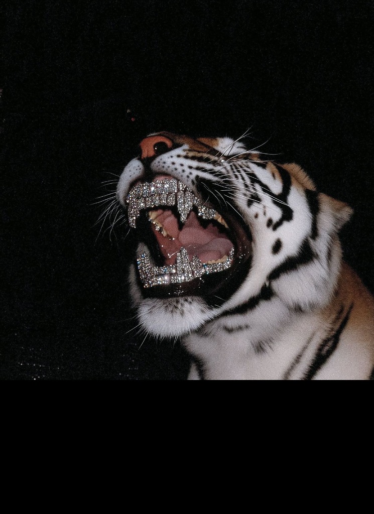 صورة الـavatar