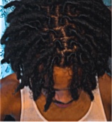 Treyskii2x