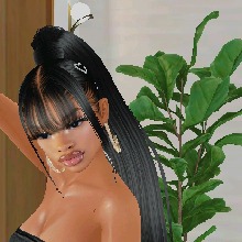 Guest_Fatima850300