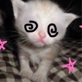 Guest_punnkin