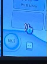 Guest_vb48