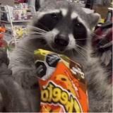 Guest_cheetosycocacola