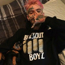 Guest_xzvx