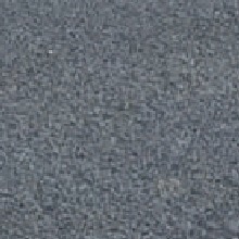 Guest_icterinecoralred4f97