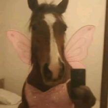 Guest_Gabriellyyy