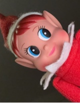 TheDolI