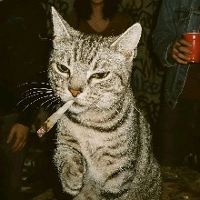 Guest_XxMilxxX