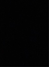 صورة الـavatar