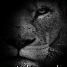 Guest_RaulNasr