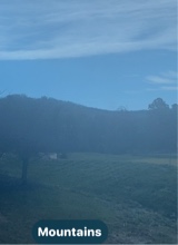 Guest_3cc48