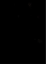 Jaidyoir8