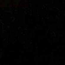 Guest_LOMBRA111