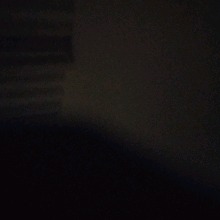 Black558466