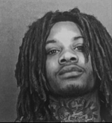 Guest_Traysteppa00