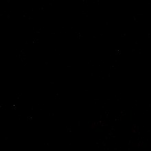 Guest_Lunita1637