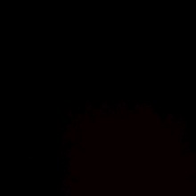 صورة الـavatar