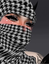 Guest_Nay57699