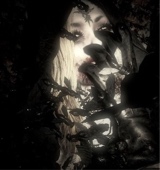 Guest_kacey323274