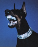 Guest_BigBagRacks