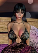 Guest_LOU404063