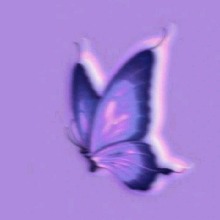 Guest_zoeydunnigan123