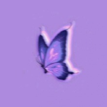 Guest_zoeydunnigan123