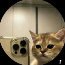 avpic