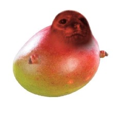 kousuke