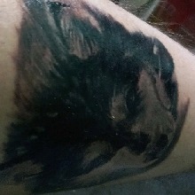 Guest_bloodmark420