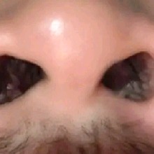 lohlf