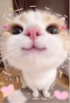 Jaycute110