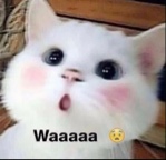Guest_GrimmxHades