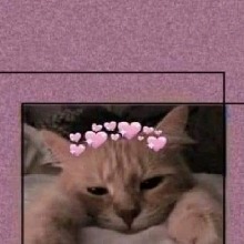 Guest_Lhuu2