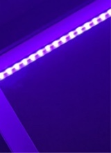 Guest_jess992078