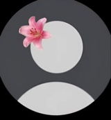 Guest_Alayaa0