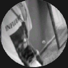 Guest_Luis576656