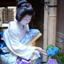 geikoMiyoko