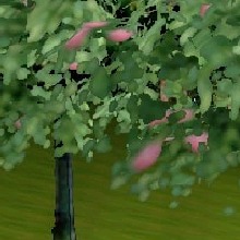 Guest_DuskRuined
