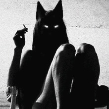 Guest_Jashinn