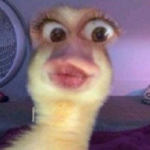 Guest_Jessikas2