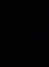 Guest_manu464802