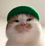 Pryv