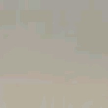 Guest_brenoscat