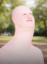 Yvesl