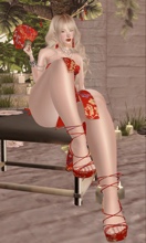 sis0044