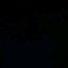 Guest_Graziella10