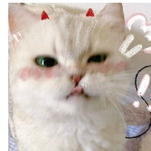Guest_Mari854072