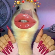 Guest_RussaMaddy
