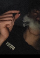 Guest_01boeiraslz